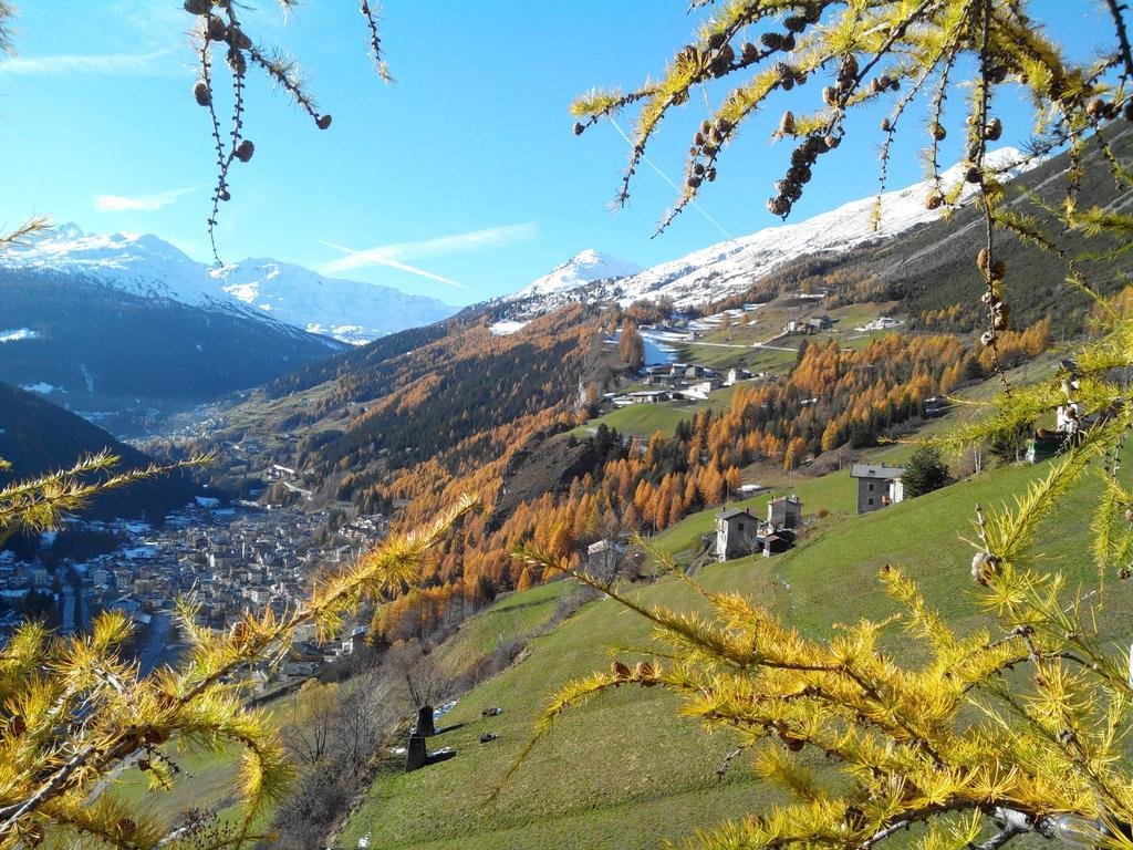 Agriturismo Raethia Изолачча Экстерьер фото