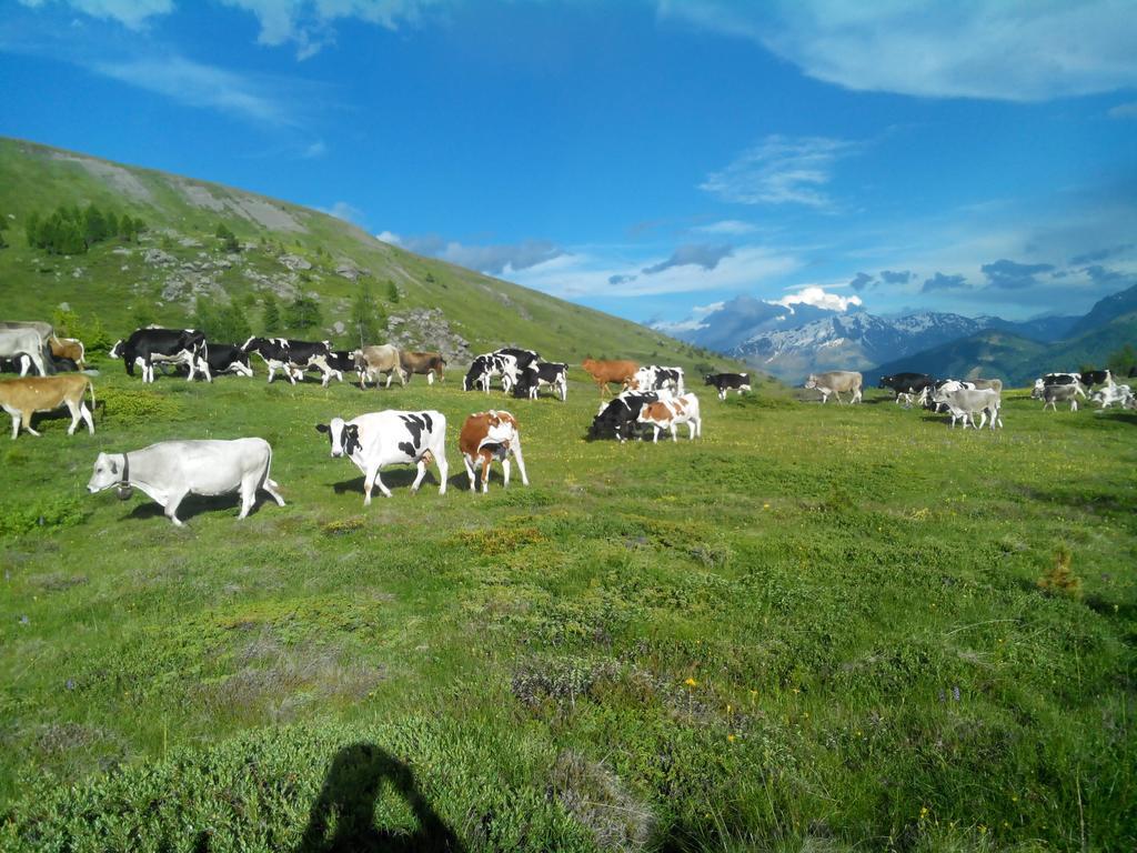 Agriturismo Raethia Изолачча Экстерьер фото
