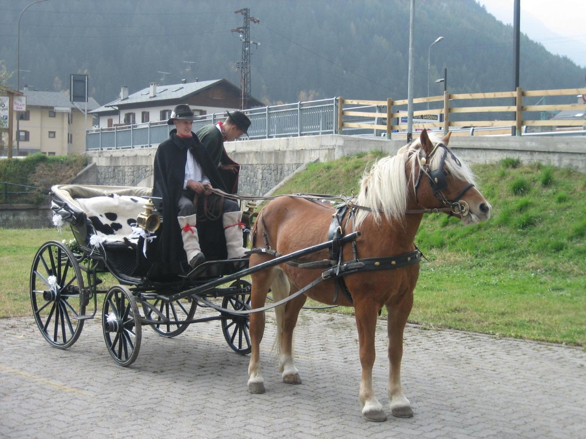 Agriturismo Raethia Изолачча Экстерьер фото