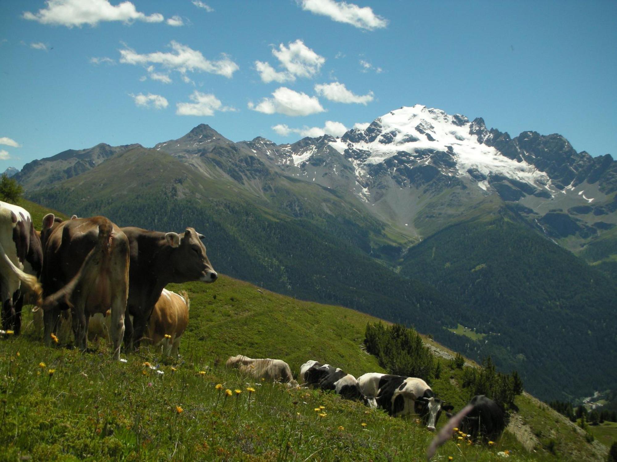 Agriturismo Raethia Изолачча Экстерьер фото