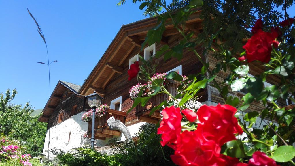 Agriturismo Raethia Изолачча Экстерьер фото